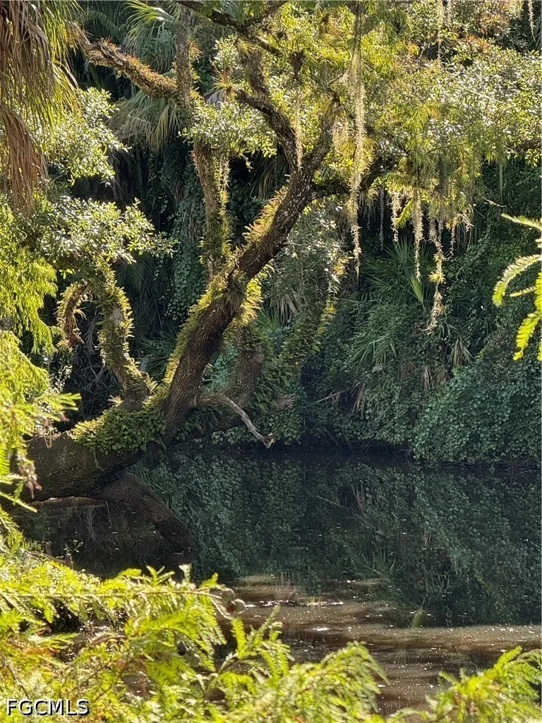 Creek Bridge Court Alva, FL 33920