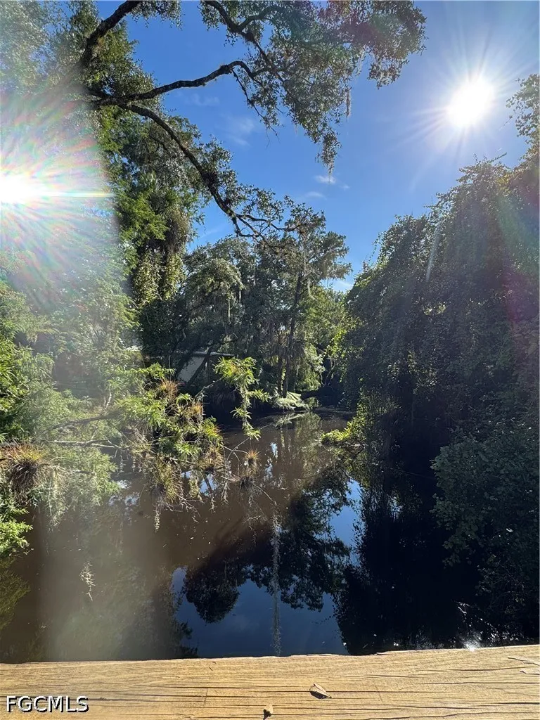 Creek Bridge Court Alva, FL 33920