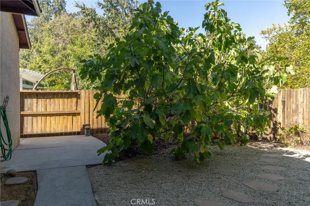 122 Secluded Oaks Court Chico, CA 95928