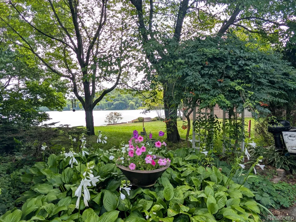 6567 Softshell Drive Waterloo Township, MI 49240