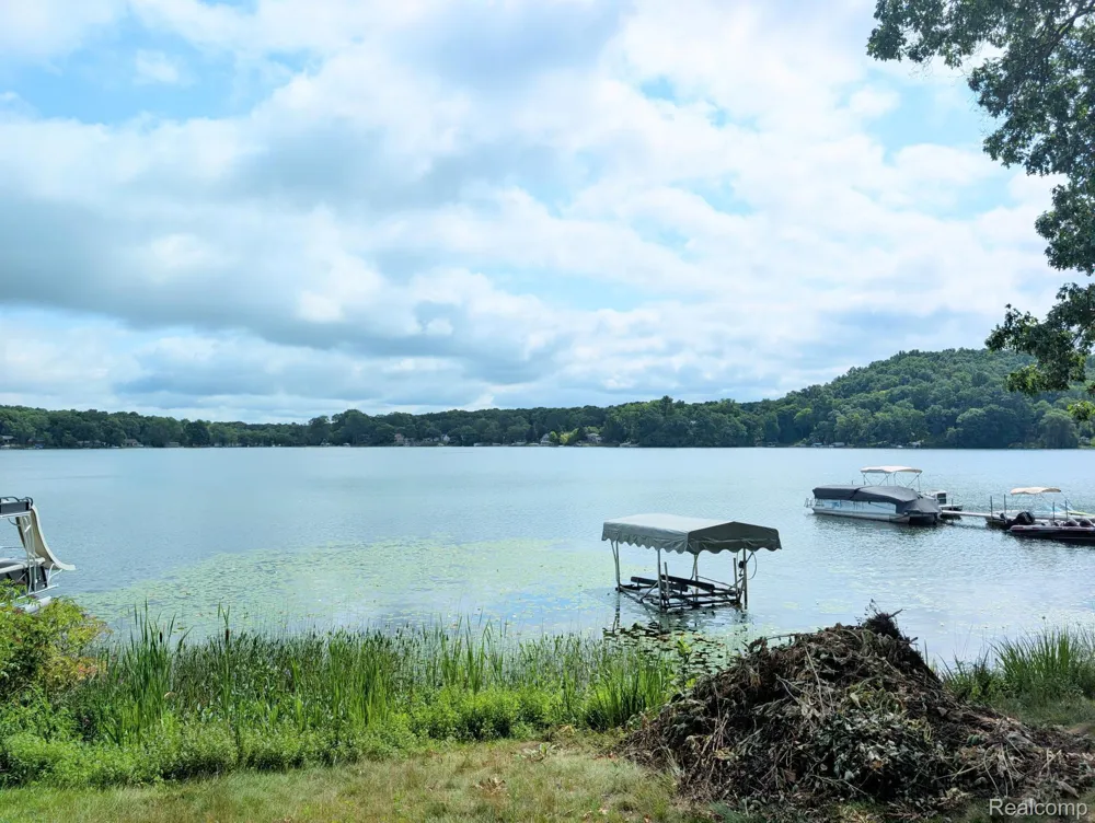 6567 Softshell Drive Waterloo Township, MI 49240