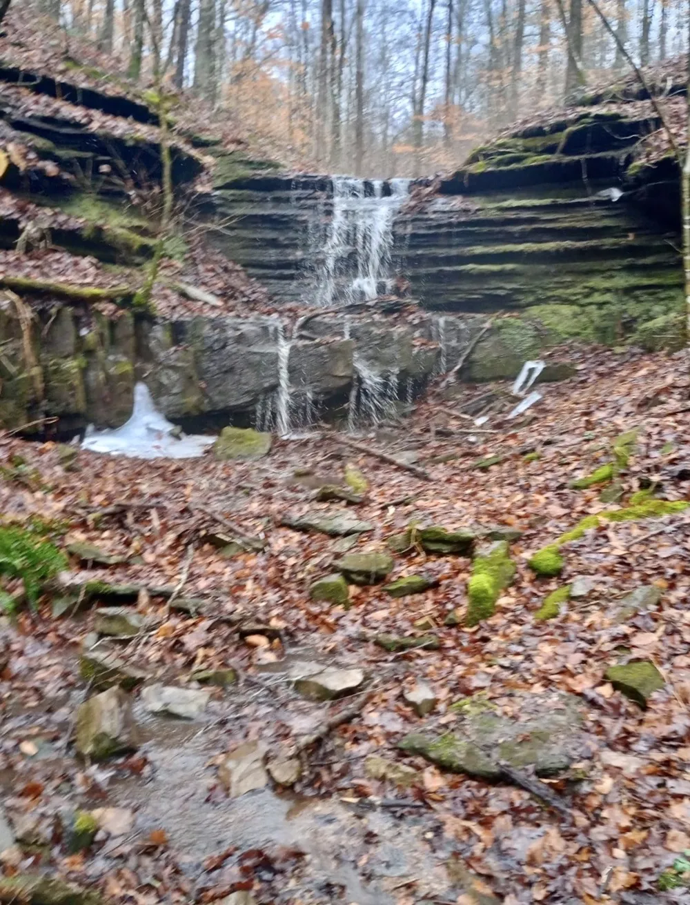 2280 Big Opossum Creek Rd Linden, TN 37096