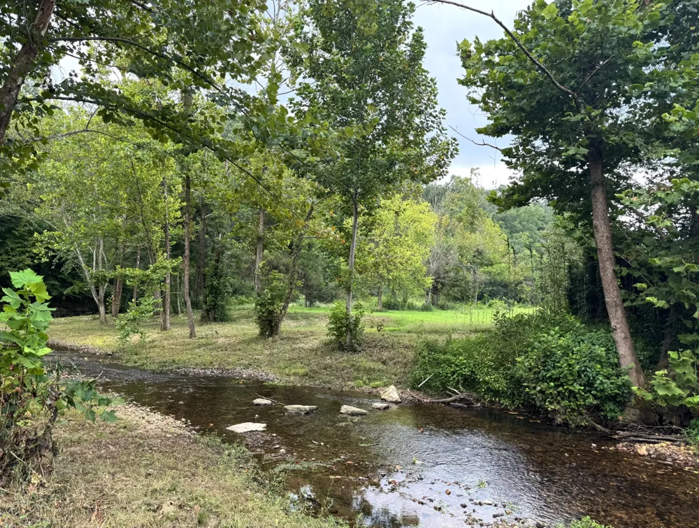 2280 Big Opossum Creek Rd Linden, TN 37096
