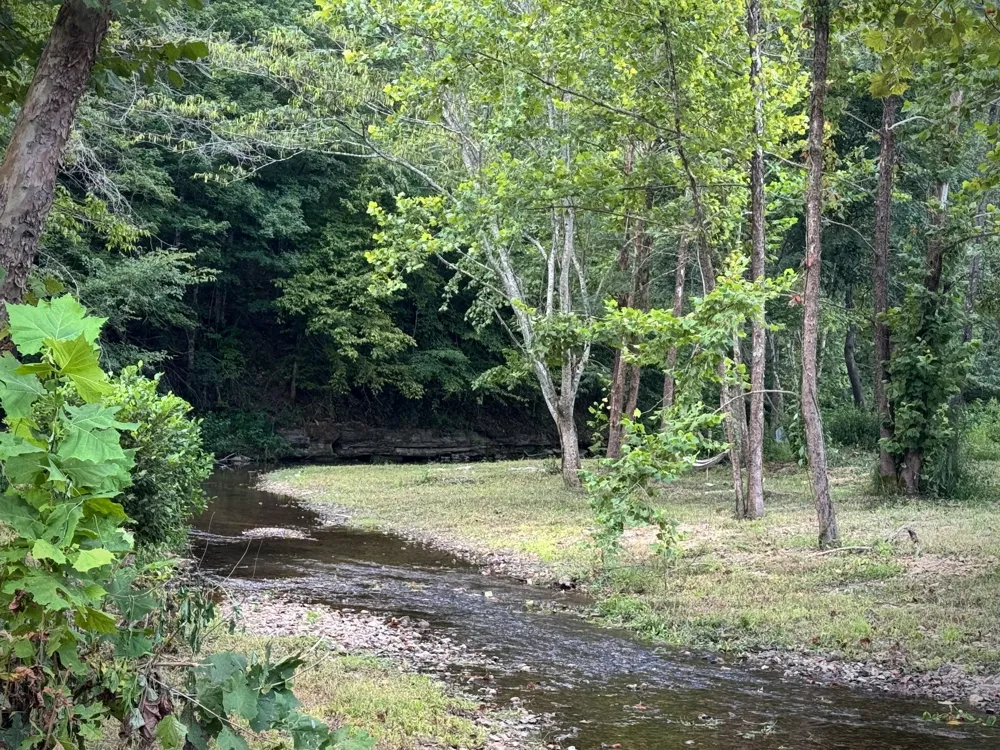 2280 Big Opossum Creek Rd Linden, TN 37096