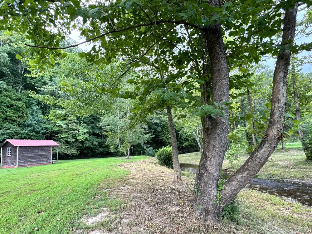 2280 Big Opossum Creek Rd Linden, TN 37096