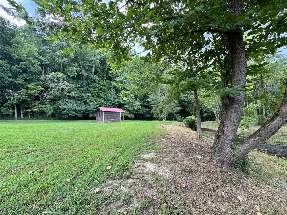 2280 Big Opossum Creek Rd Linden, TN 37096