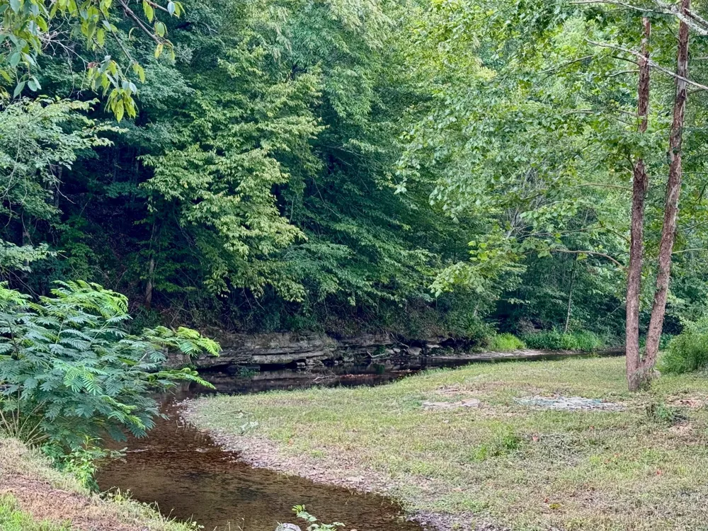 2280 Big Opossum Creek Rd Linden, TN 37096