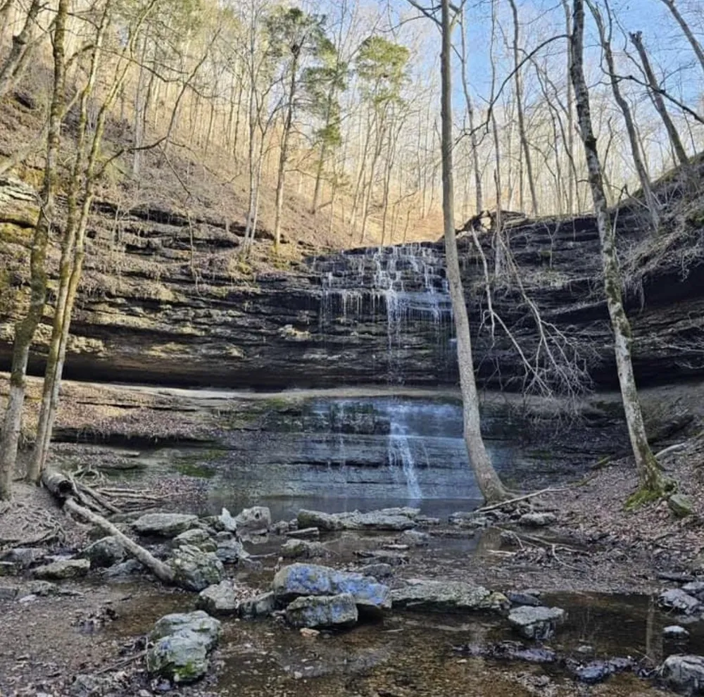 2280 Big Opossum Creek Rd Linden, TN 37096