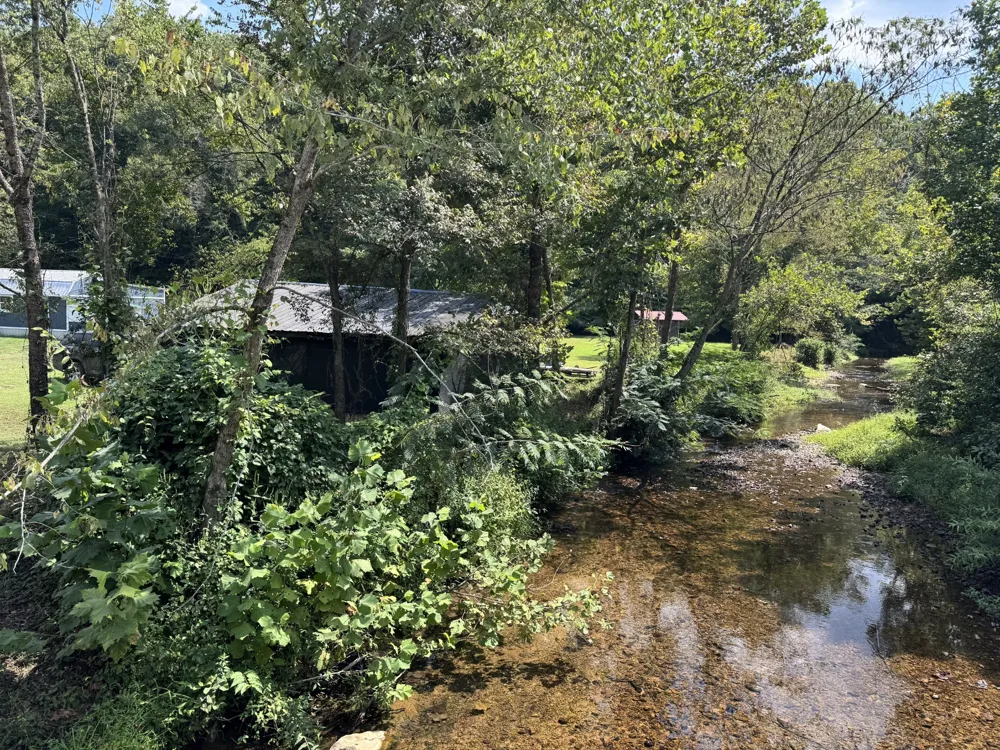 2280 Big Opossum Creek Rd Linden, TN 37096