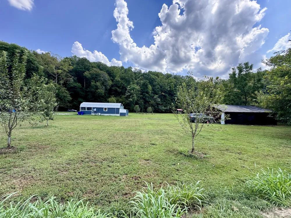 2280 Big Opossum Creek Rd Linden, TN 37096