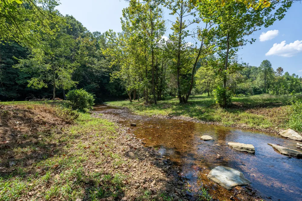 2280 Big Opossum Creek Rd Linden, TN 37096