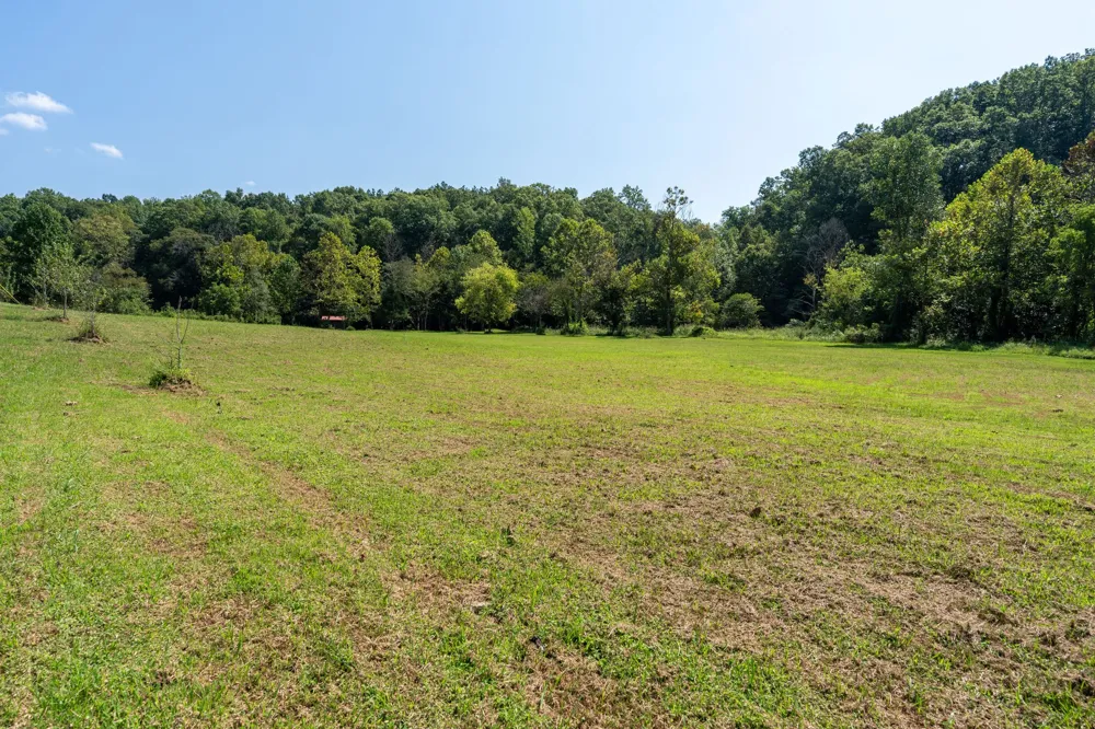 2280 Big Opossum Creek Rd Linden, TN 37096