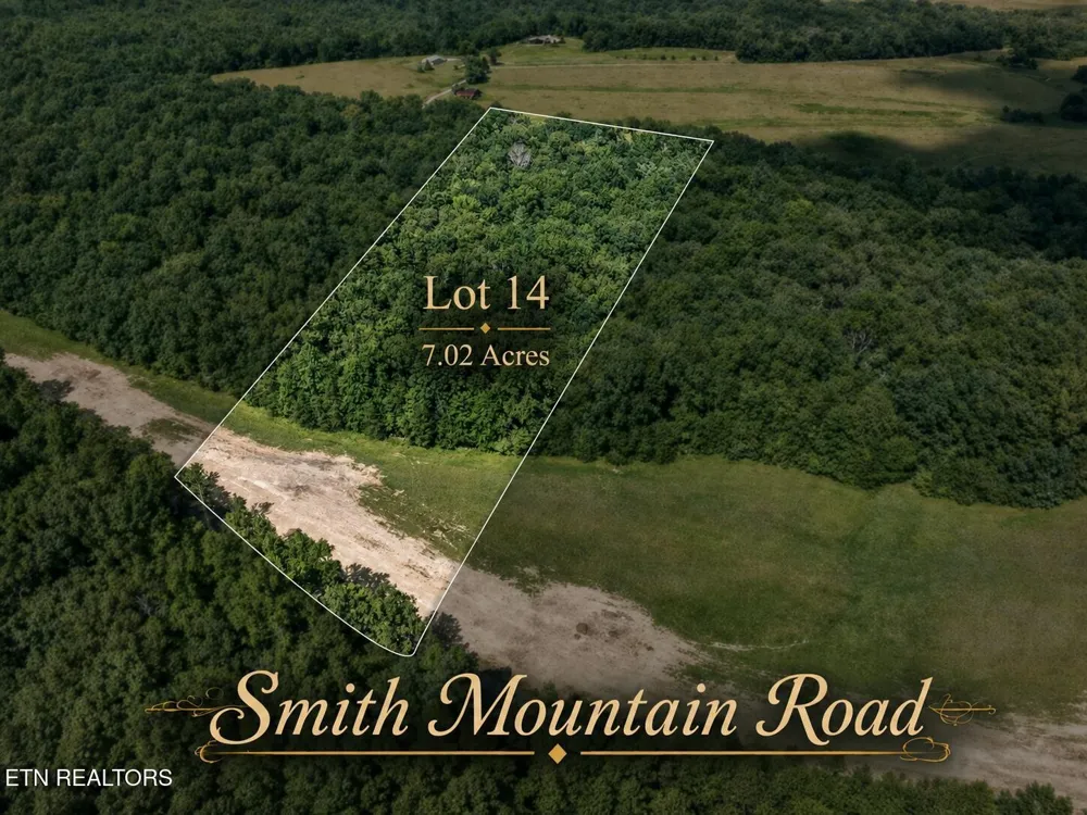 14 Smith Mountain Rd Rockwood, TN 37854