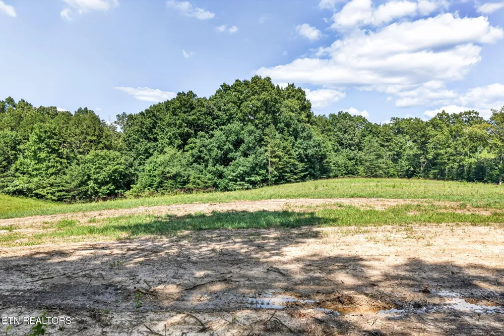 14 Smith Mountain Rd Rockwood, TN 37854