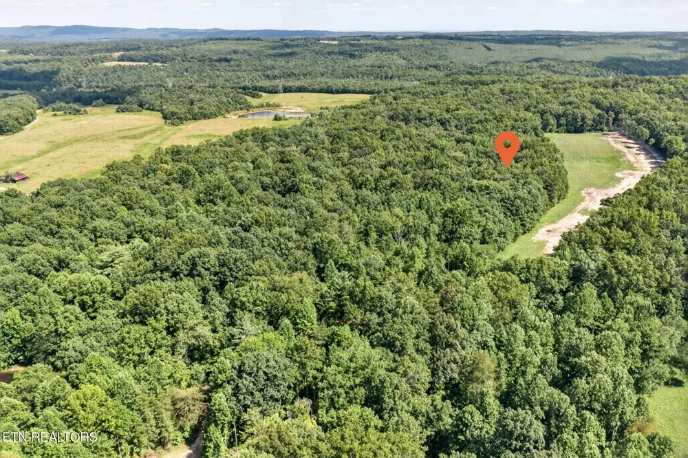 14 Smith Mountain Rd Rockwood, TN 37854