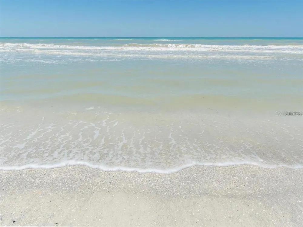 2209 BELLEAIR ROAD #C13 Clearwater, FL 33764