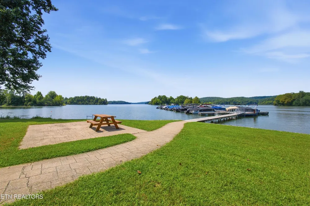 234 Majestic View Drive Rockwood, TN 37854