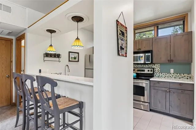 2027 Soda Ridge Road #1928 Dillon, CO 80435