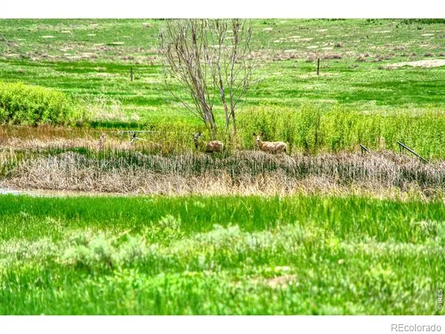 0 County Road 78 Eaton, CO 80615