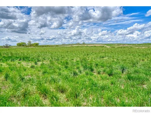 0 County Road 78 Eaton, CO 80615