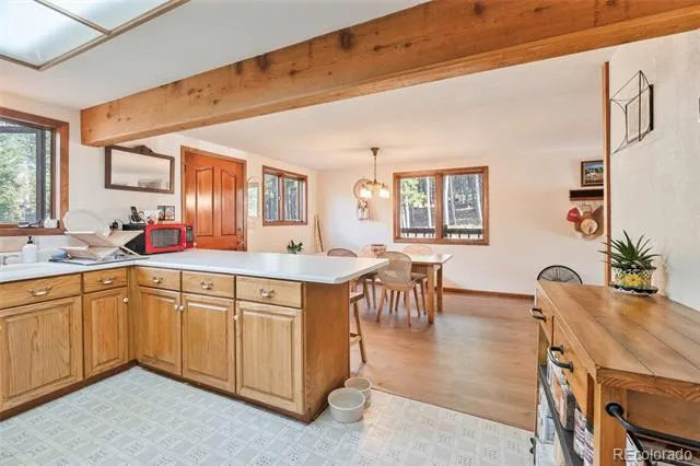 100 Raptor Point Road Golden, CO 80403