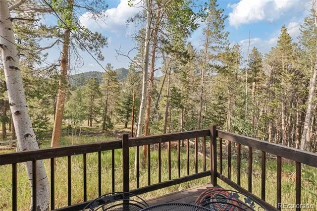100 Raptor Point Road Golden, CO 80403