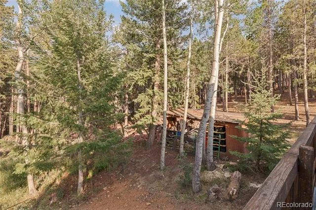 100 Raptor Point Road Golden, CO 80403