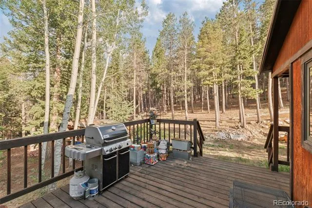 100 Raptor Point Road Golden, CO 80403