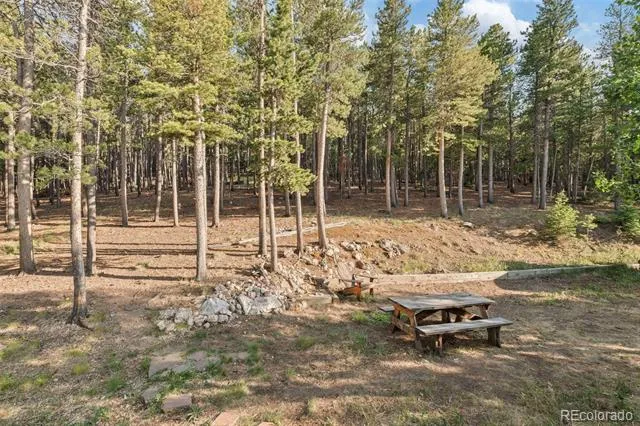 100 Raptor Point Road Golden, CO 80403