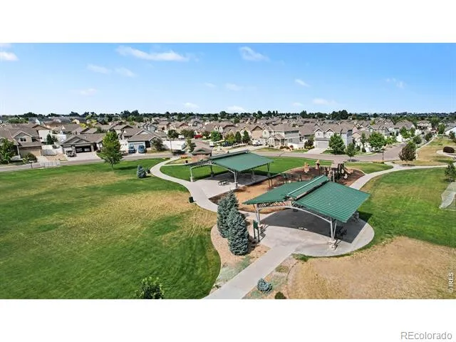 940 Scotch Pine Drive Severance, CO 80550