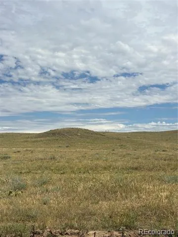 41466 Way Of Goodness Deer Trail, CO 80105