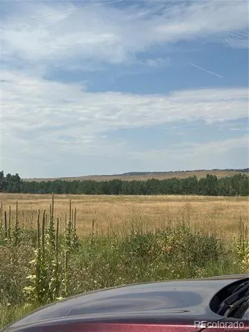 41466 Way Of Goodness Deer Trail, CO 80105
