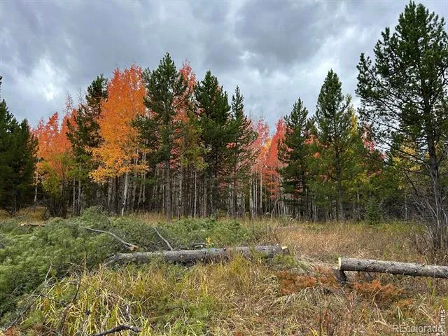 2596 Ottawa Way Red Feather Lakes, CO 80545