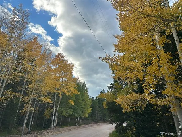 2596 Ottawa Way Red Feather Lakes, CO 80545