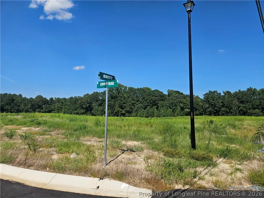 131 Britt Road St Pauls, NC 28384