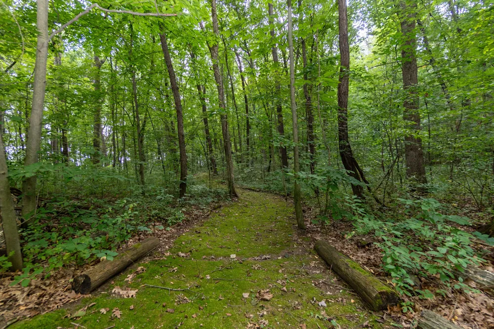 2589 Fisk Road Howell, MI 48843