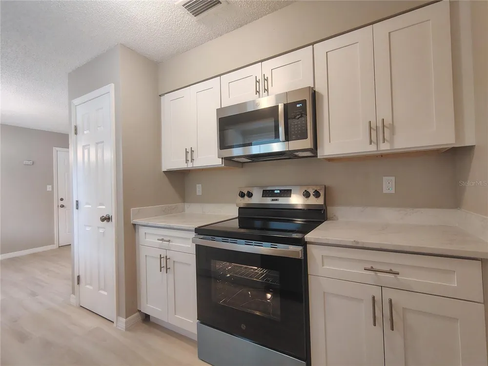 904 HICKORY AVENUE Fruitland Park, FL 34731