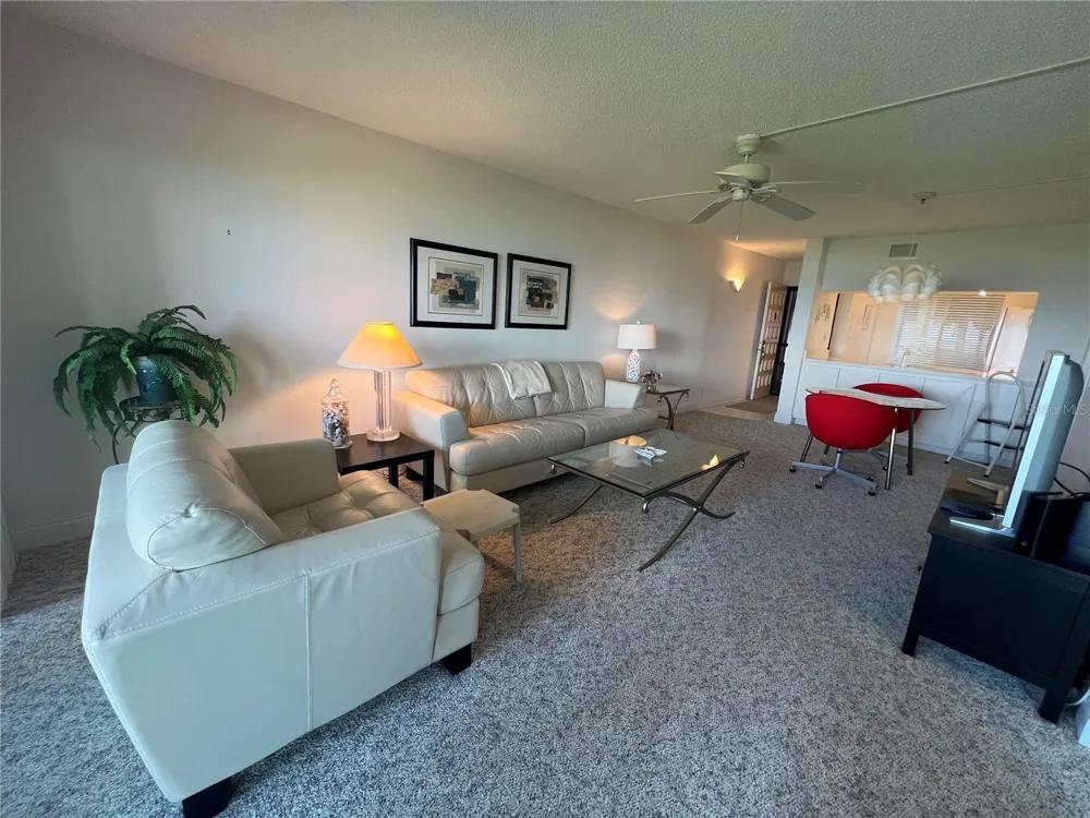 6268 PALMA DEL MAR BOULEVARD S #109 St Petersburg, FL 33715