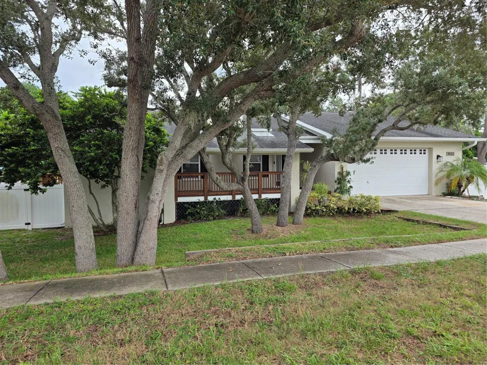 1033 ROSETREE LANE Tarpon Springs, FL 34689