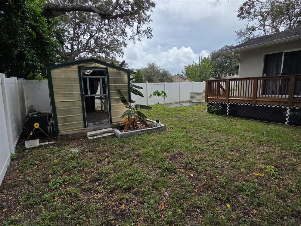 1033 ROSETREE LANE Tarpon Springs, FL 34689