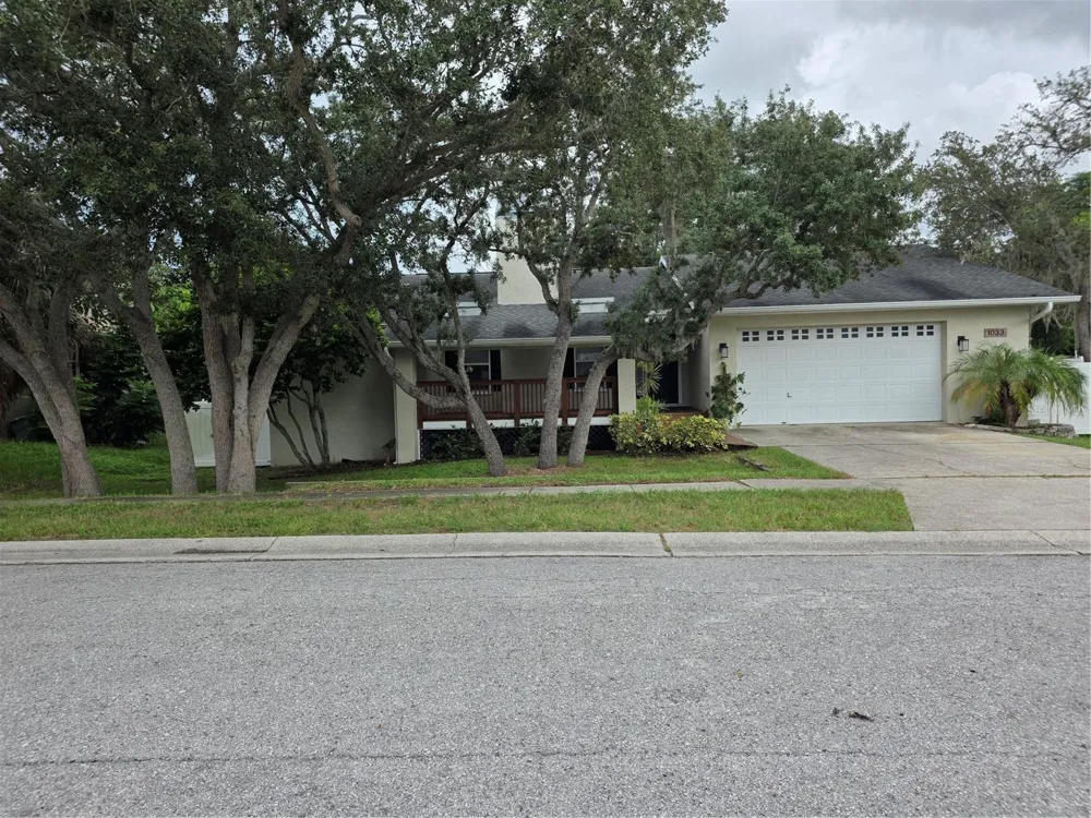 1033 ROSETREE LANE Tarpon Springs, FL 34689