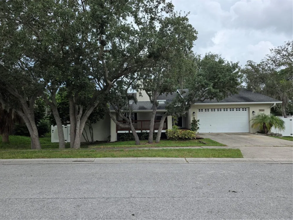 1033 ROSETREE LANE Tarpon Springs, FL 34689