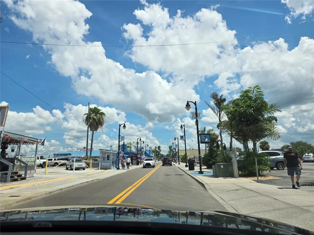 1033 ROSETREE LANE Tarpon Springs, FL 34689