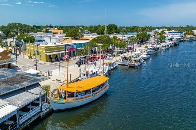 1033 ROSETREE LANE Tarpon Springs, FL 34689