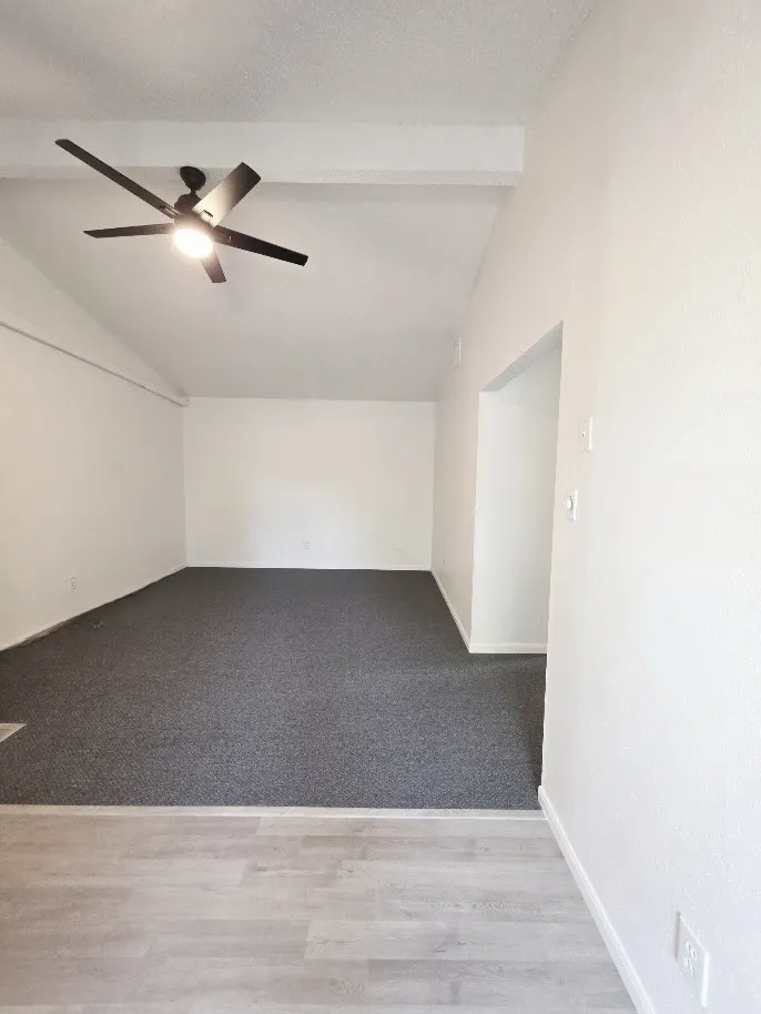 100 Quail Run Road #5 Martindale, TX 78655