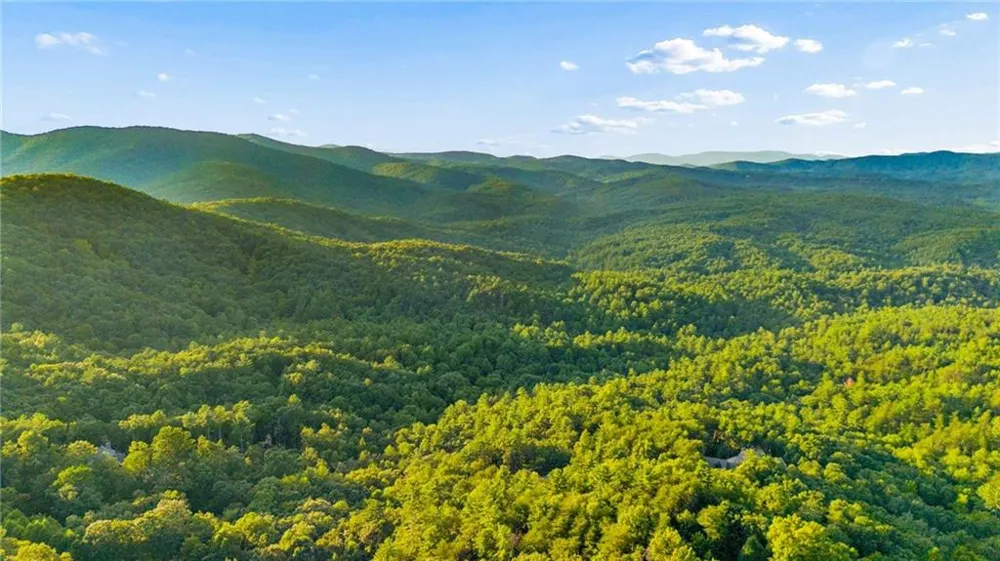252 Wild Turkey Bluff Jasper, GA 30143