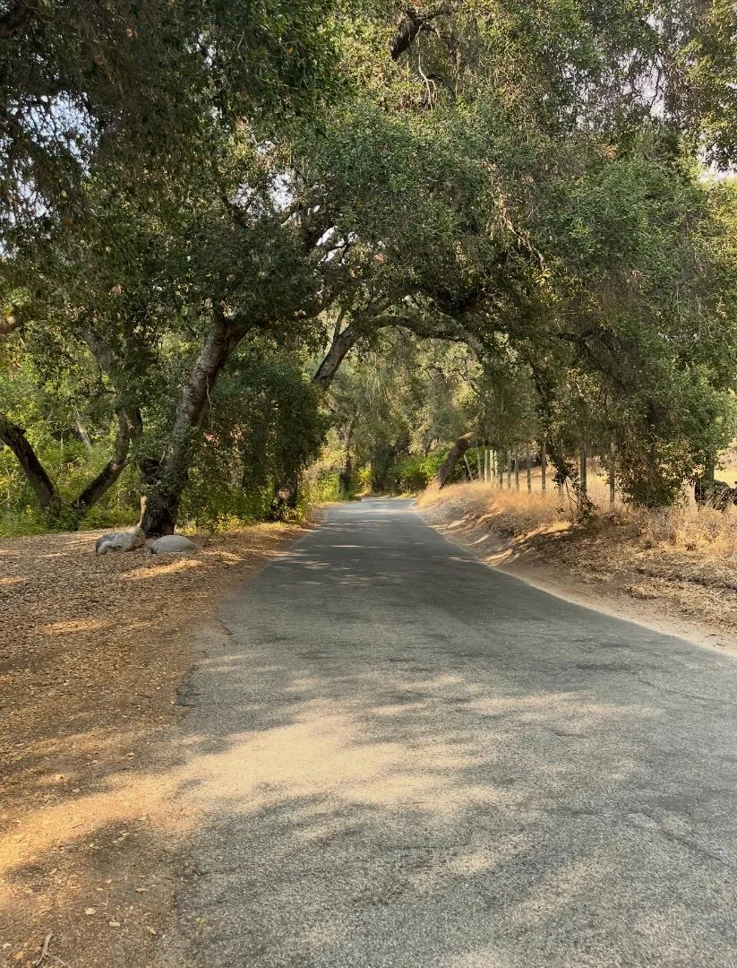 1000 Cachagua Carmel Valley, CA 93924