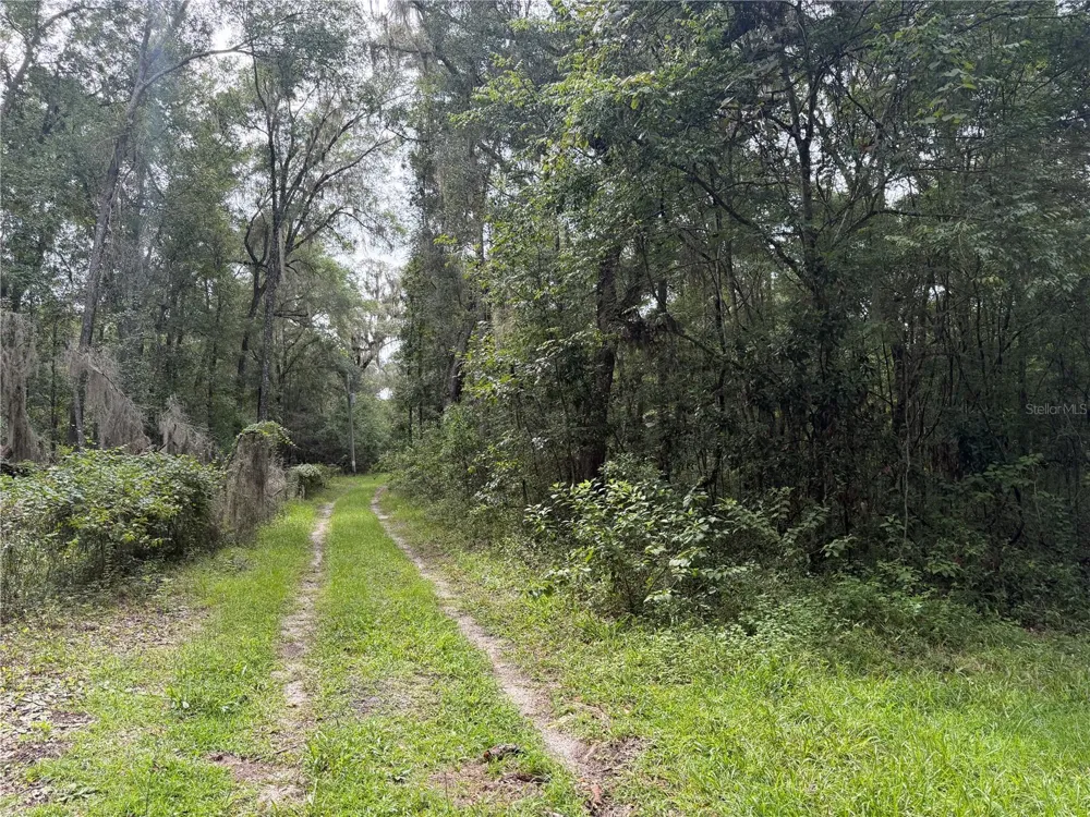 TBD SW 89TH STREET Gainesville, FL 32608