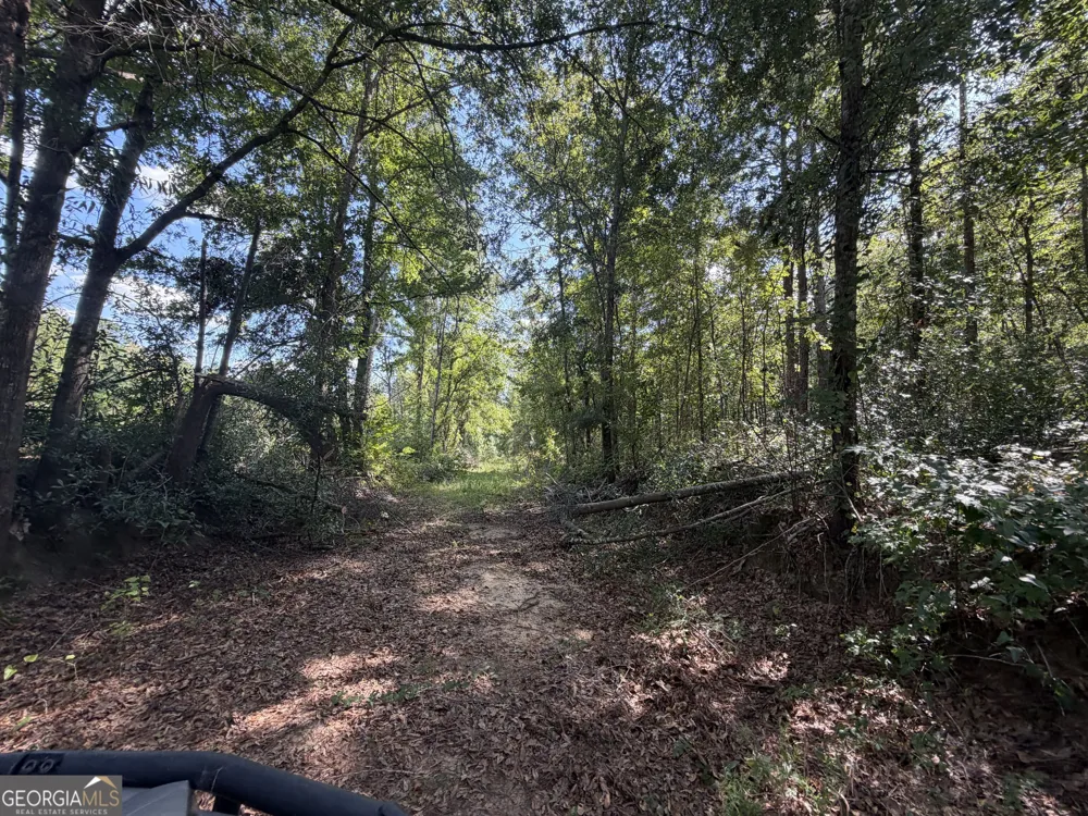 7 Sunhill Grange RD Davisboro, GA 31018