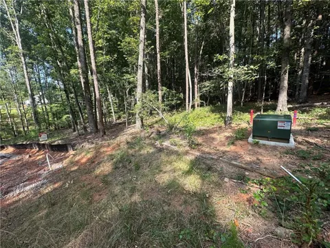 1562 Ewing Chapel Road